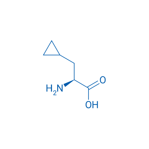 beta-Cyclopropyl-Alanine