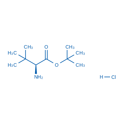 H-Tle-OtBu.HCl