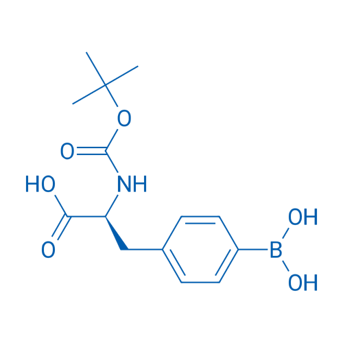 Boc-4-Borono-L-Phenylalanine