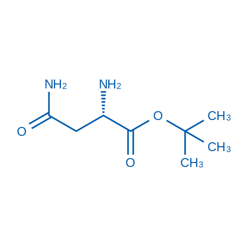 H-Asn-OtBu