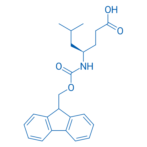 Fmoc-gamma-L-leucine