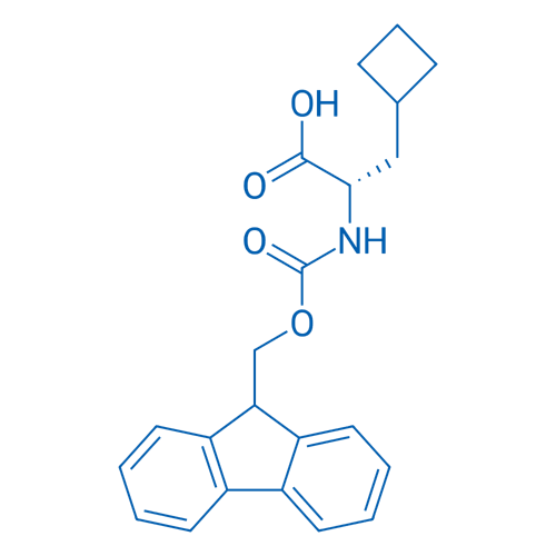 Fmoc-beta-Cyclobutyl-L-Alanine