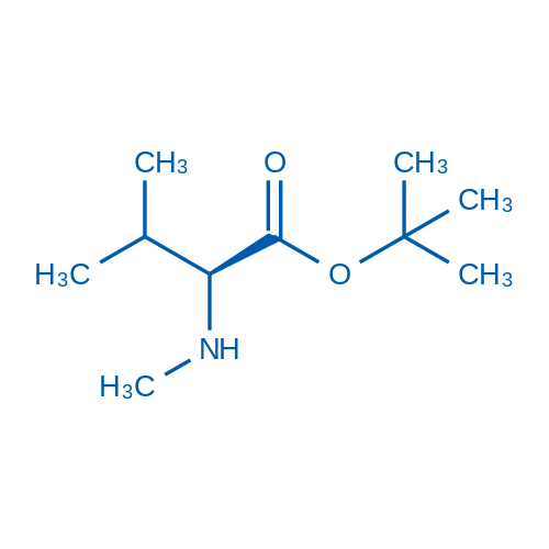 N-Methyl-(S)-valine tert-butyl ester