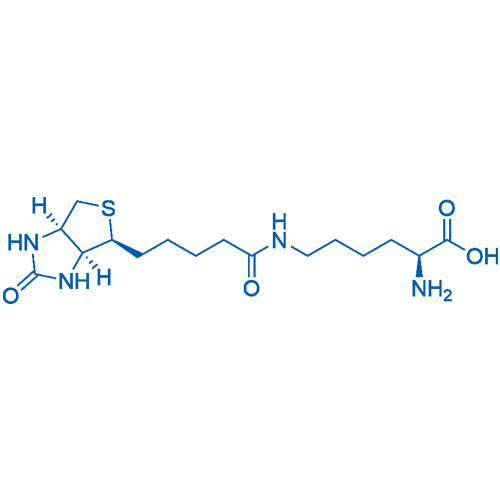 H-Lys(Biotinyl)-OH