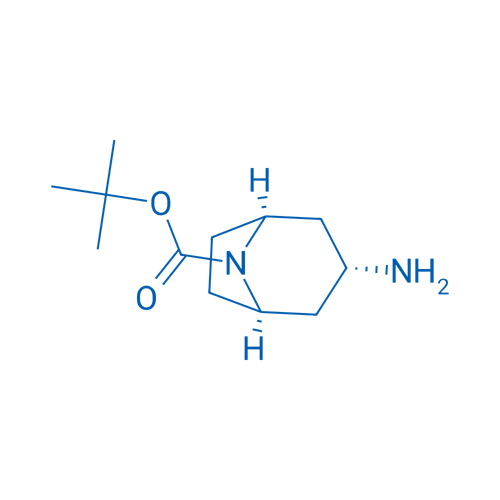 stert-butyl (1S,5S)-3-amino-8-azabicyclo(3.2.1)octane-8-carbo