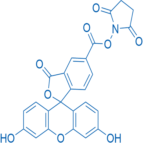 s5-Carboxyfluorescein n-succinimidyl ester